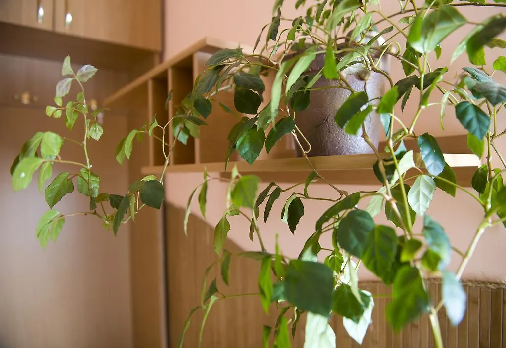 Lviv Centre Apartment