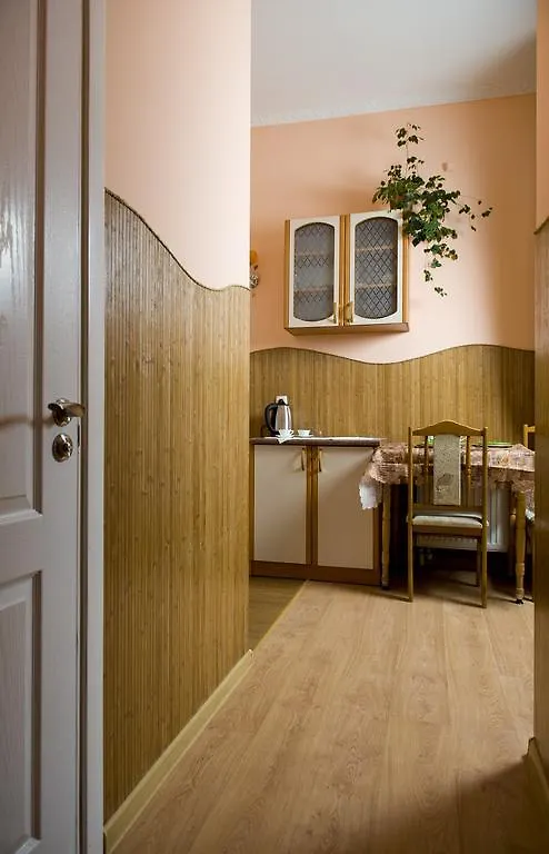 Lviv Centre Apartment